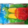 IQF Frozen sweet corn cob